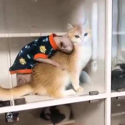 Weird Massage Therapist Has Issues With Boundaries.