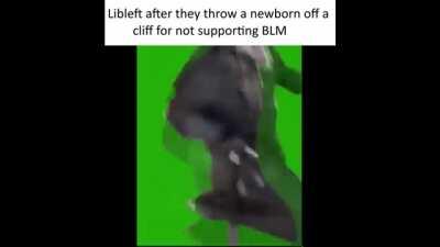 Haha libleft bullying go brrrr