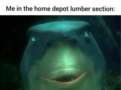 smell of wood in the morning