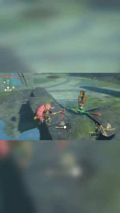 [TOTK] i diedâ¦â¦â¦â¦â¦â¦â¦â¦â¦â¦â¦.