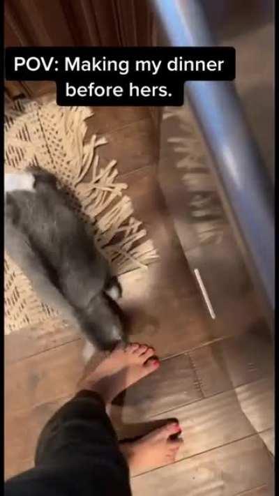 Making my dinner before hers.