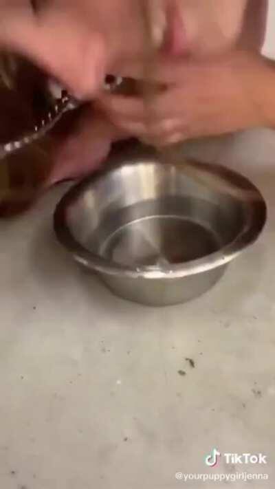 Acting like a dog in public