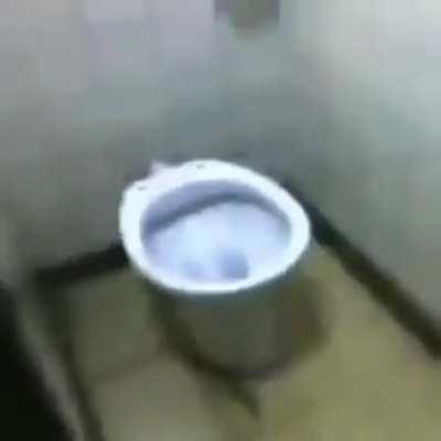 EL INODORO QUE HABLA.