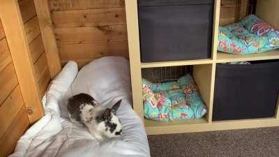 Floss flop finally caught on camera