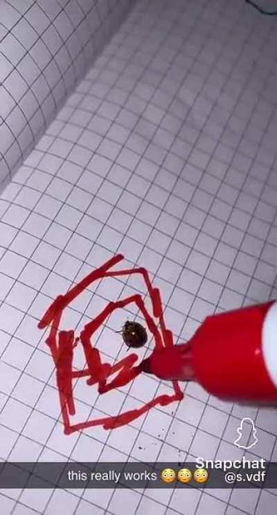 Ну тебя нахер, я сваливаю