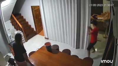 To take over hoomans 