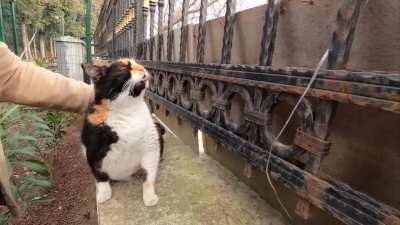 Must have been a good back scratch