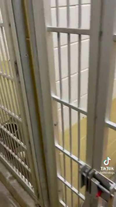 And they're all pits