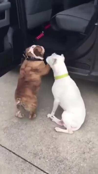 Gonna need a hand...