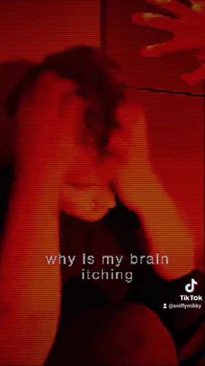 scratchy scratchy :) (OC)