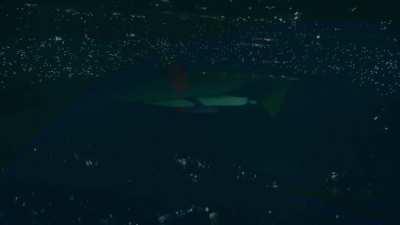 Did a Moon edit because I like the song too much and the visuals from the livestream were also incredible