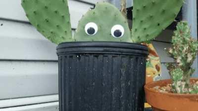 I've resorted to growing my own friends during these trying times.