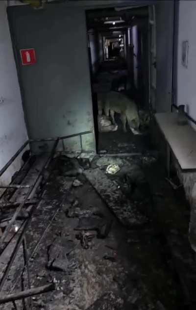 Ru pov: According to the military correspondent ПОГРАНИЧНИК ИЗ АДА this video is from Volchansk