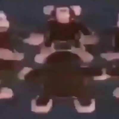 Mono en baja resoluci&oacute;n dando vueltas jajajjaj