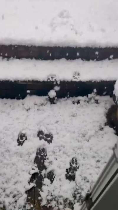 'That shit was colder than expected'