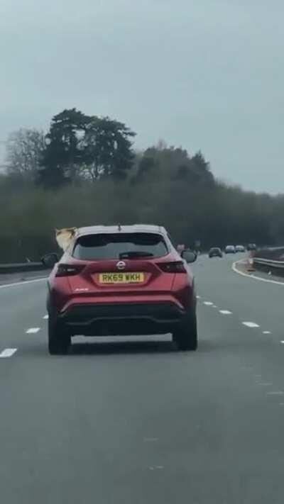 Gotta make sure the wind is the same on both sides