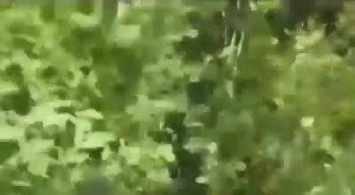 Best ejection seat in the world. 