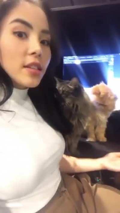 Trying to work around cats