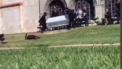 They see me rolling'