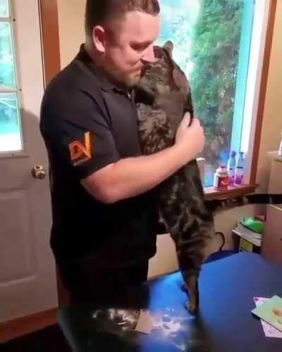 Every day in this place cat awaits his dad this is so cute made my day