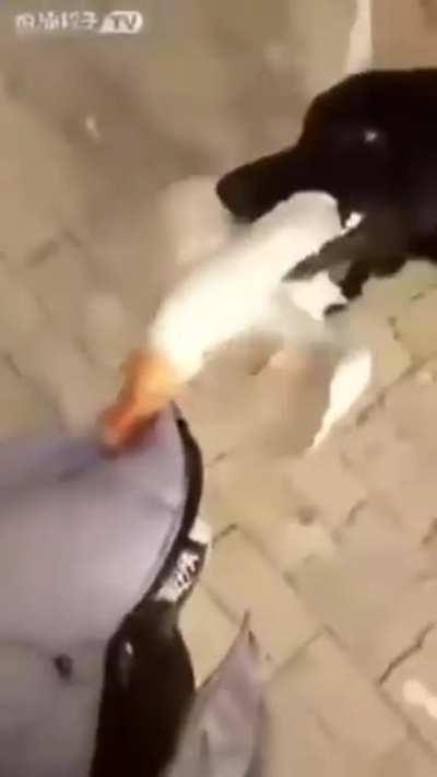 Expect this in Russia