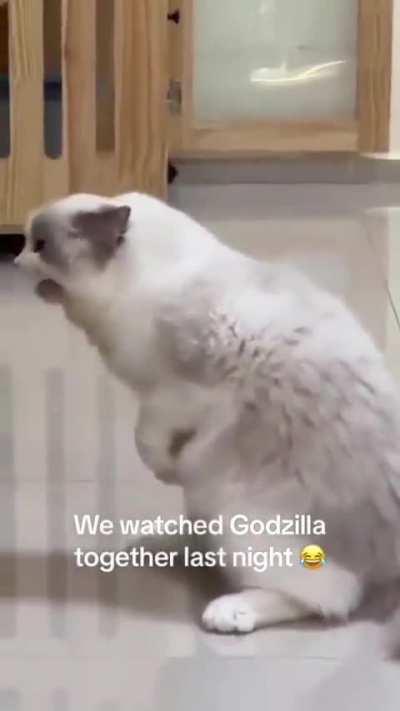 Cute kitty is the prince of the monsters