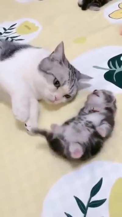 Don't worry mama is here:)