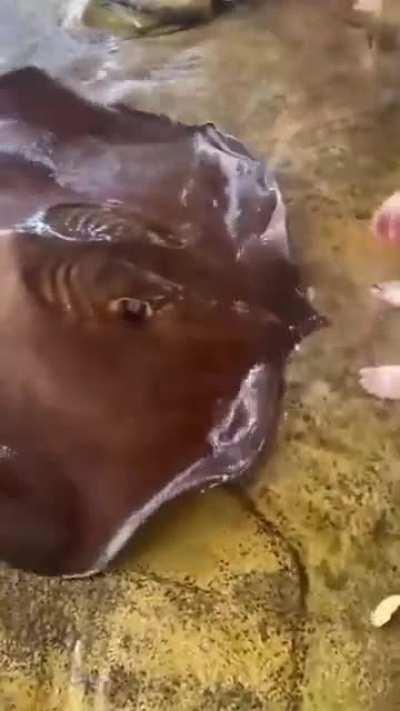 What a gift from nature!