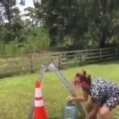 I’ve seen this before in a cartoon