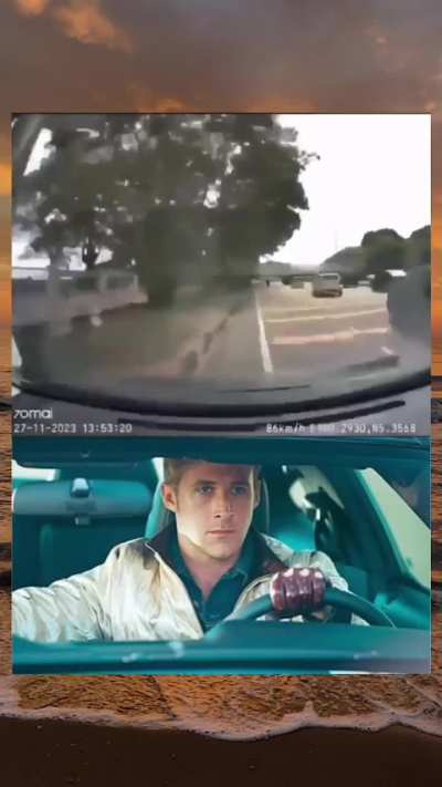 BRO THINKS HE'S IN GTA