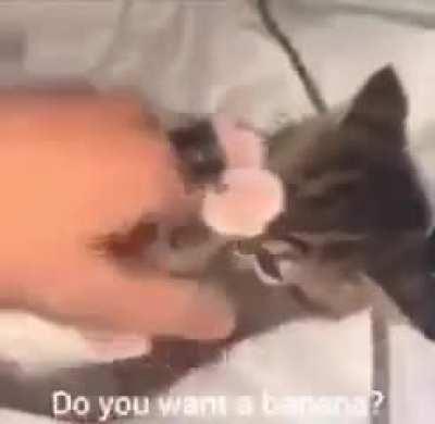 All rise for the national anthem