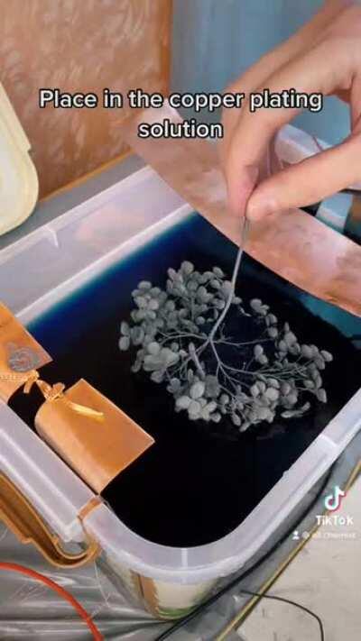 Hello everyone! I want to share with you my video of the electroforming process