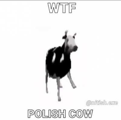 Polish cow