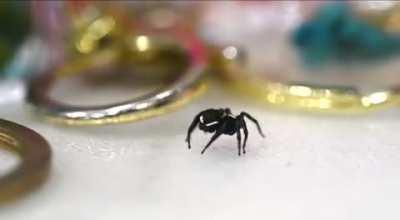 Worthy of a cross post.