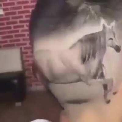 Not even mad, I'm just impressed