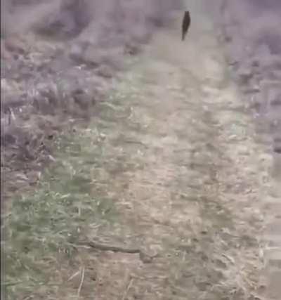 Weeeeeeeeeeeeeeeeee!