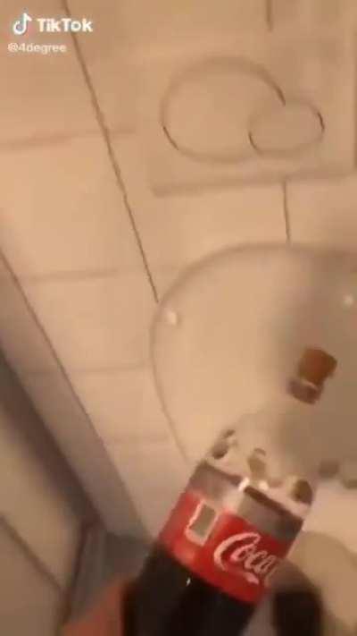 Abrupt toilet adventure