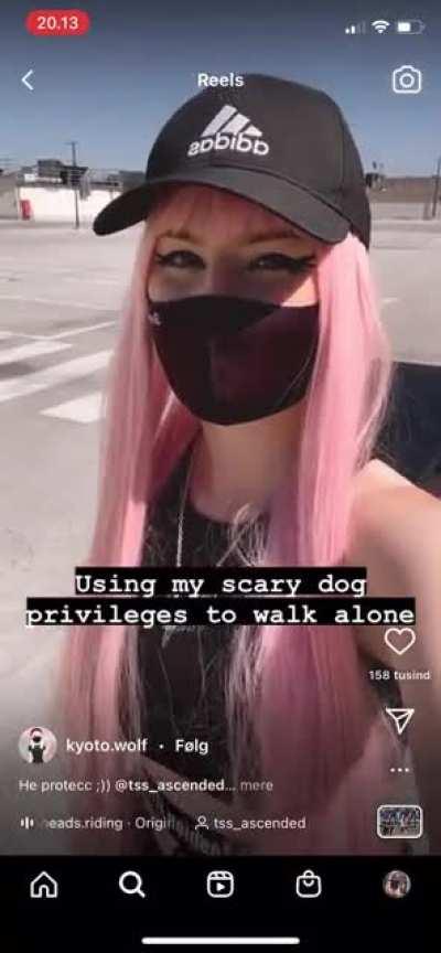 When you gotta take your mall ninja out for a walk so he gets his exercise