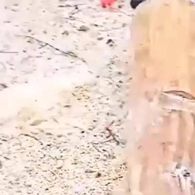 The kid is making fun of his father.)