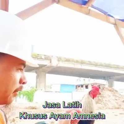 wholesome bapak-bapak