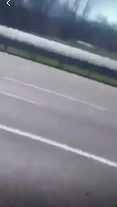 Stowaway Turkey is released on highway and quickly hitches a ride with a new guy