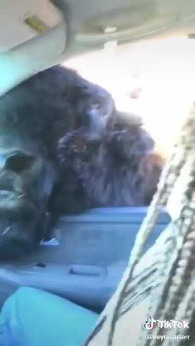 What's the song their jamming to?