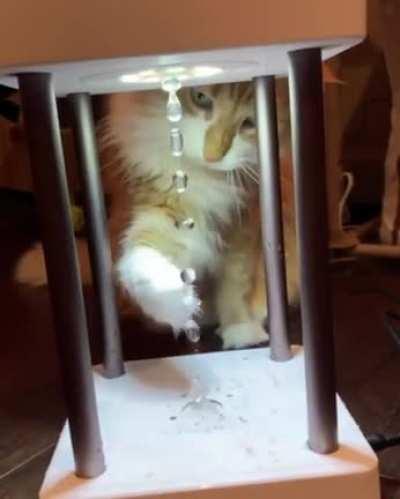 How is this possible?!