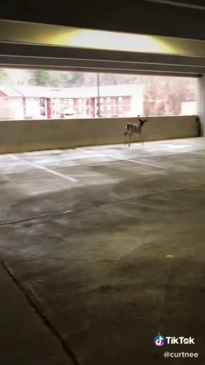 Didn’t quite stick the landing