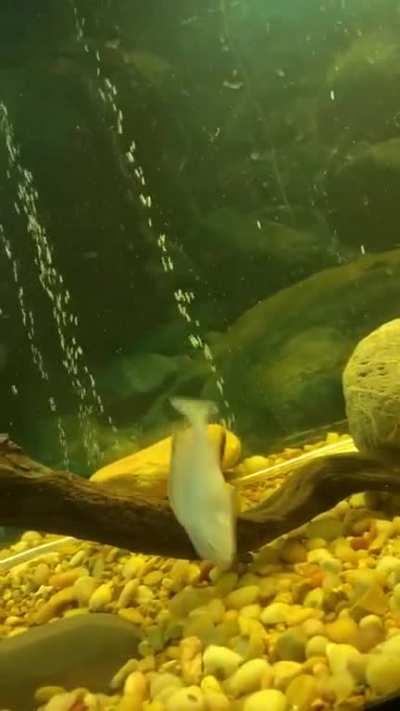 He is not happy with me