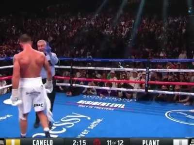 Canelo Alvarez Knocks Caleb Plant Out in Eleventh