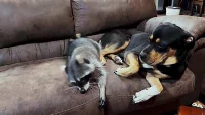 “Ugh, why do you have to be so weird?”