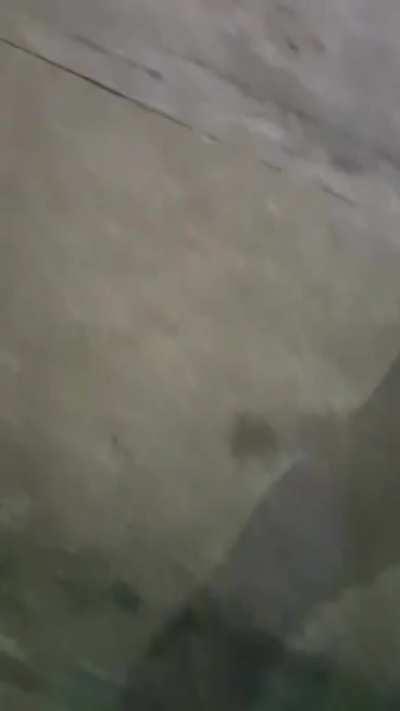 (NSFW) Pickup loses control attempting a burnout and runs over a crowd of people. One woman requires partial amputation of arm