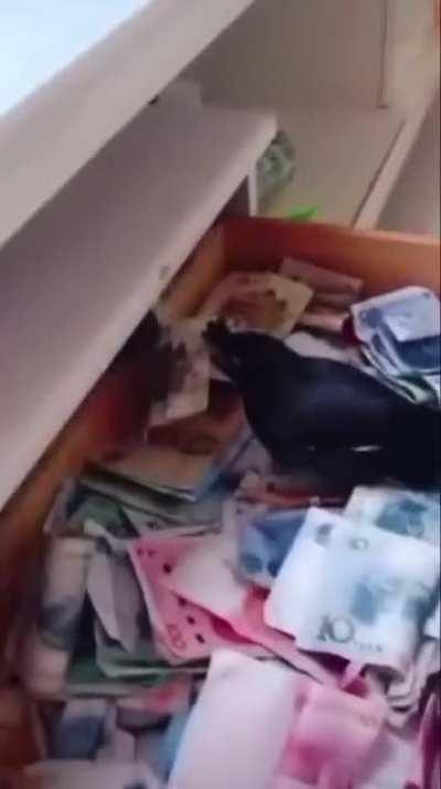 [REQUEST] How much money is in that drawer?