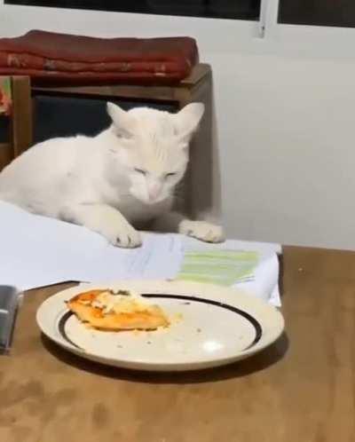 to steal the food
